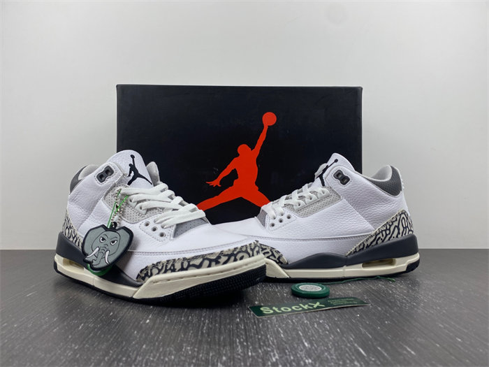 Jordan 3 Retro Hide N