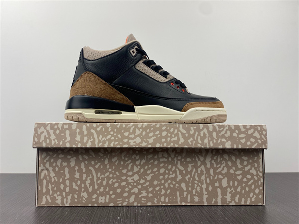 Jordan 3 Retro Desert Elephant CT8532-008