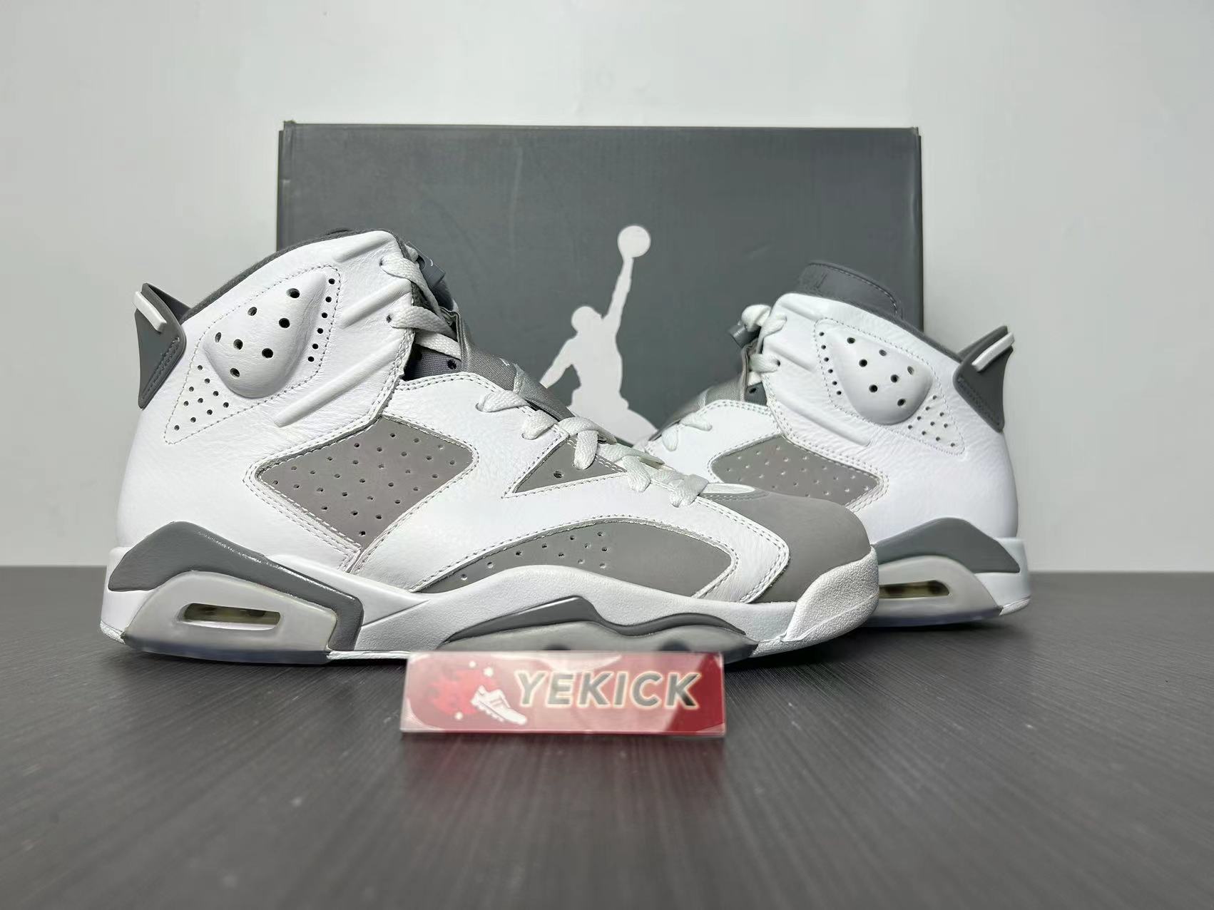 Jordan 6  Cool Grey CT8529-100