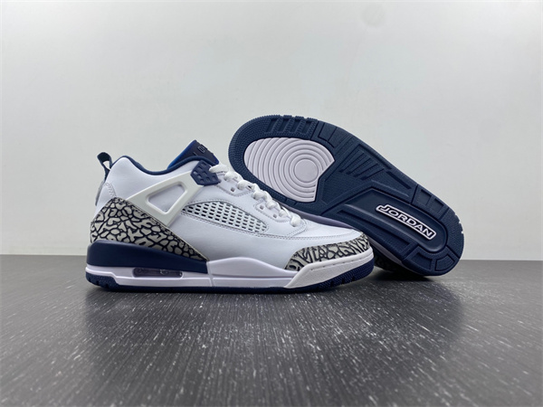 Jordan 3  Spizike Low  FQ1869-100