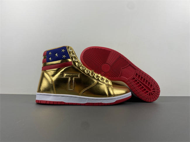 DONALD TRUMP NEVER SURRENDER