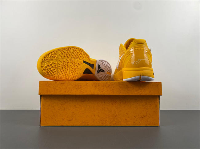 Nike Kobe 6 Protro  CW2190-501