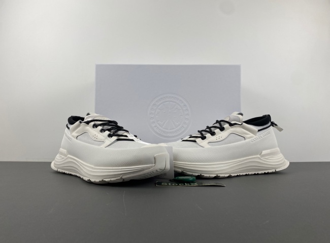 （Can*a Go*e）glacier trai. 7785m