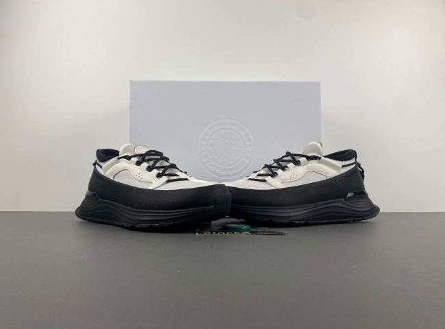 (Can*a Go*e）glacier trai. 7785m