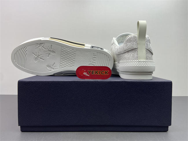 D10r b23 sneaker