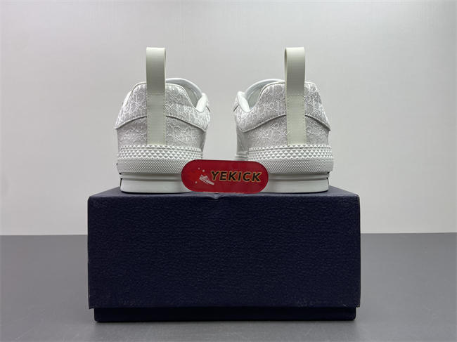 D10r b23 sneaker