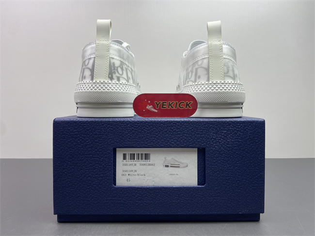 D10r b23 low top sneaker