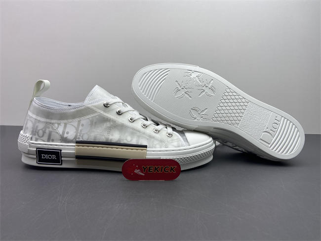 D10r b23 low top sneaker