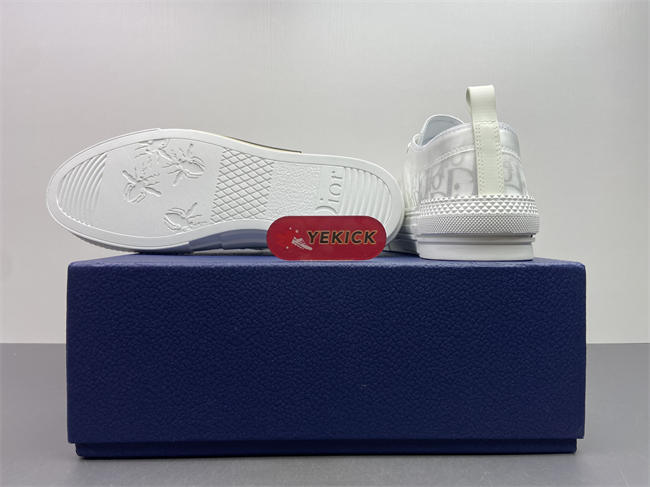 D10r b23 low top sneaker