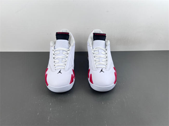 Air Jordan 14 Retro 487471-100