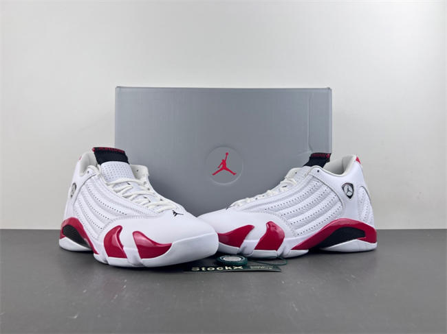 Air Jordan 14 Retro 487471-100