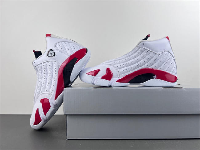 Air Jordan 14 Retro 487471-100