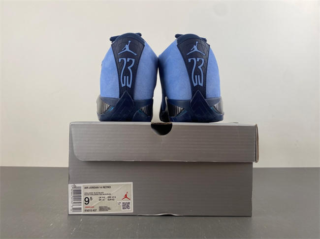 Air Jordan 14 PE IF5015-407