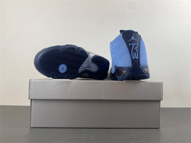 Air Jordan 14 PE IF5015-407