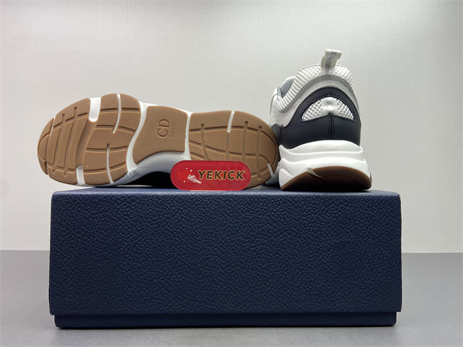 D10r b22 sneaker