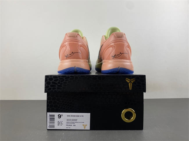 Nike Kobe 6 PE2026-100