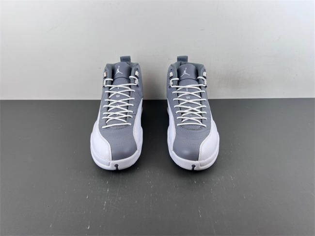 Air Jordan 12 Retro Stealth CT8013-015