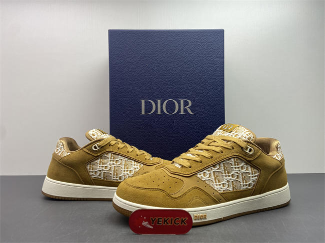 D10r b27 sneaker